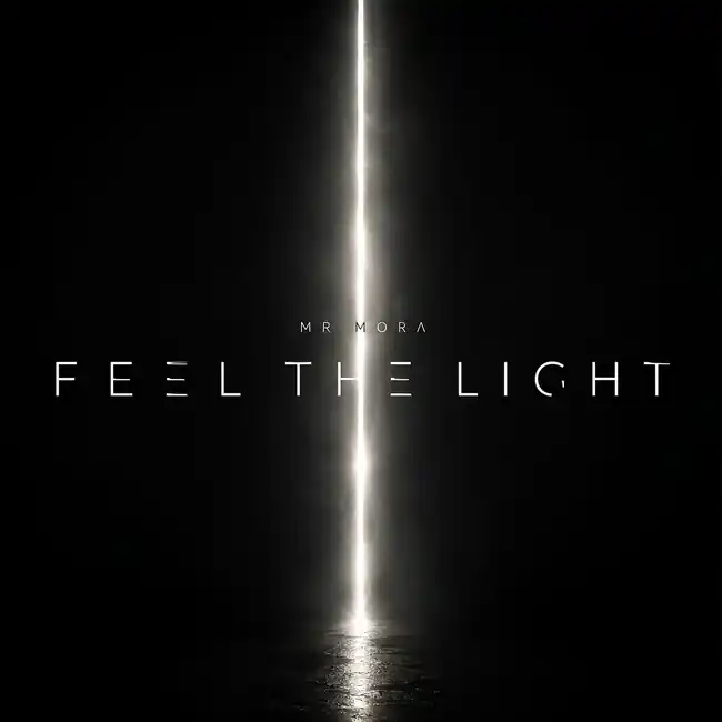 Feel The Light cover